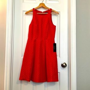 Women’s size 2 Limited Dress